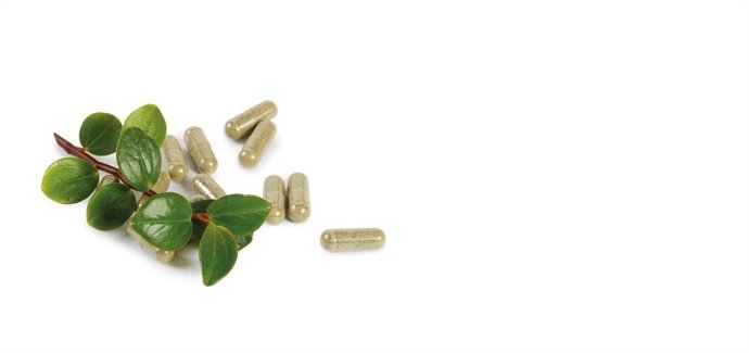 Archivo - Recurso de Biosearch