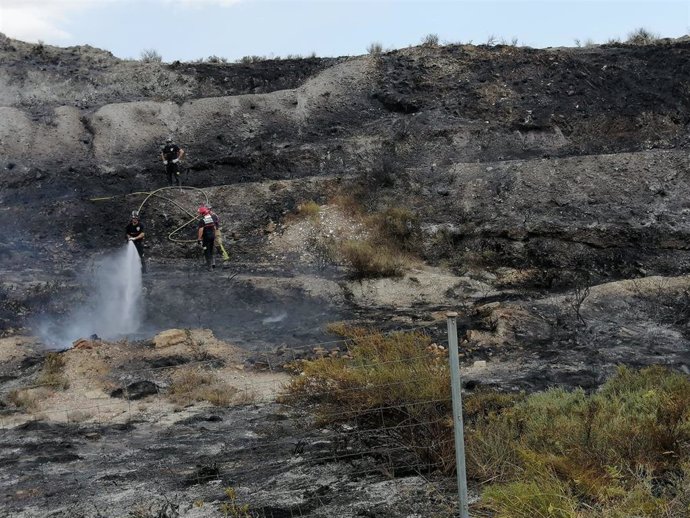 Bomberos trabajan en la extinción de un incendio declarado junto a la A-7, a su paso por Lorca