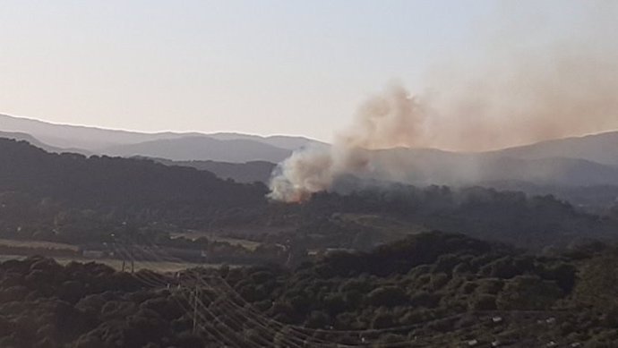 Incendio forestal en Los Barrios (Cádiz)