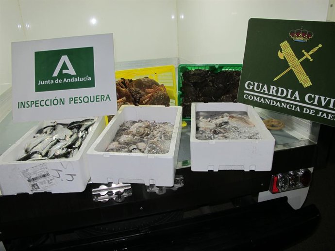 Pescado intervenido en MercaJaén