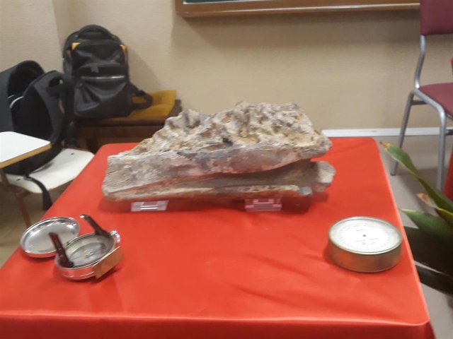 Imagen del dentario de dinosaurio hallado en Portell