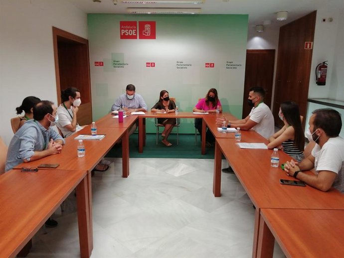 Foto de la reunión mantenida en el Parlamento entre dirigentes del PSOE de Sevilla y diputados con opositores sevillanos de la especialidad de Educación Física