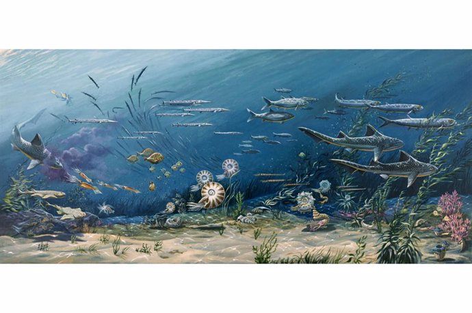 Archivo - Recreación de la biodiversidad en los antiguos océanos