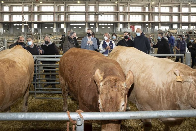 Archivo - El consejero de Desarrollo Rural, Ganadería, Pesca, Alimentación y Medio Ambiente, Guillermo Blanco, visita el Mercado Nacional de Ganados, junto al alcalde de Torrelavega, Javier López Estrada.