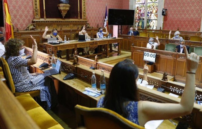 Pleno del Consell de Mallorca