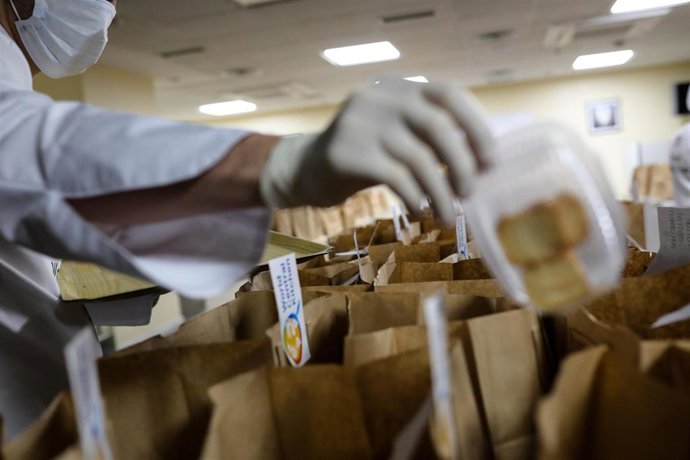 Archivo - Trabajadores voluntarios. Archivo