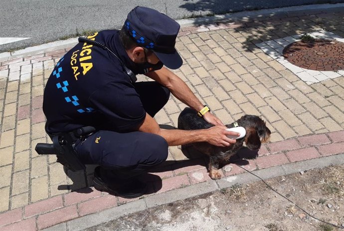 La Policía Local inicia la campaña de especial de información destinada a propietarios de perros