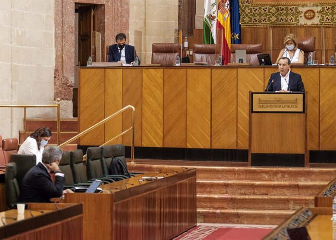 El parlamentario del PSOE-A José Luis Ruiz Espejo interviene en el Pleno.