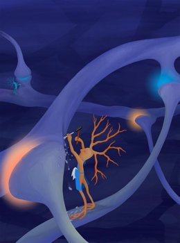 La investigación identifica un grupo de células inmunitarias especializadas que esculpen neuronas inhibitorias para regular el cableado cerebral.