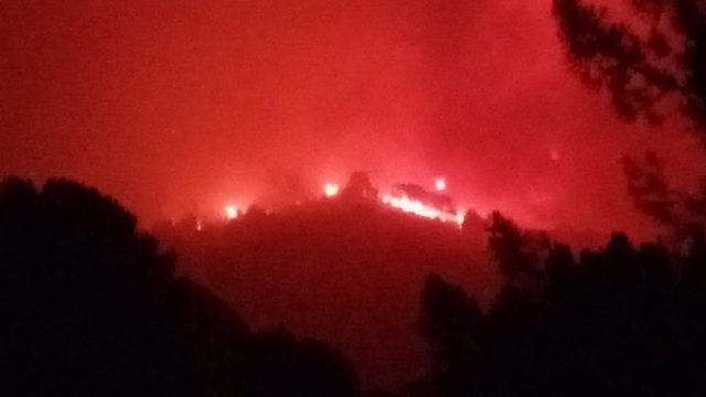 Declarado de madrugada un incendio forestal en un paraje de Jubrique (Málaga)