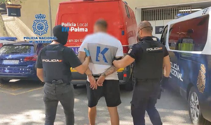 Uno de los detenidos en la 'Operación Transilvania' contra una presunta banda criminal dedicada al hurto a turistas.