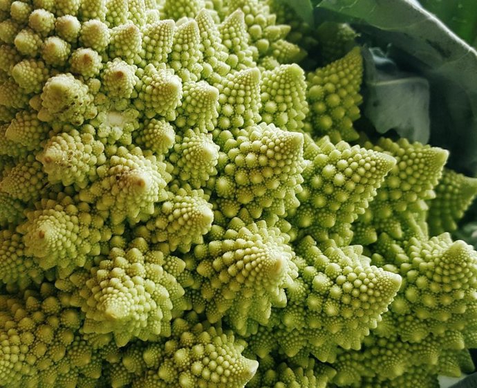 Coliflor romanesco