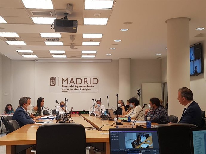 La vicealcaldesa de Madrid, Begoña Villacís, y el portavoz de Vox, Javier Ortega Smith