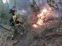 Cortada la carretera MA-8301 a la entrada y salida de Jubrique debido al incendio en la zona