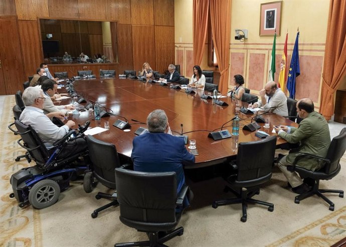 La presidenta del Parlamento, Marta Bosquet, reunida con la Mesa del Tercer Sector en junio de 2020 para explicar la línea de ayudas A proyectos de ámbito andaluz, que se estrenó en el pasado ejercicio.