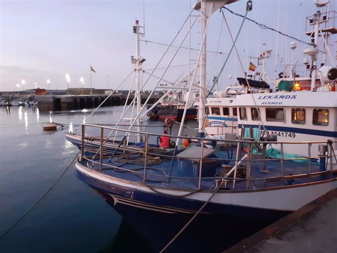 Archivo - Barcos de pesca de bajura amarrados en el Puerto de Bermeo (Bizkaia)