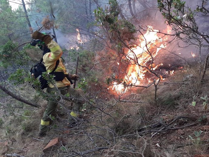 Un efectivo del Infoca trabaja en la extinción del incendio en un paraje de Jubrique (Málaga)