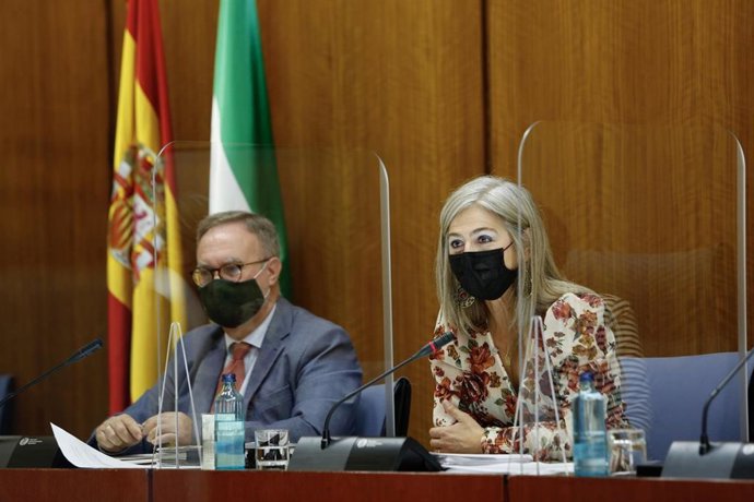 Archivo - Del Pozo anuncia las convocatorias del programa Iniciarte. Imagen de archivo.