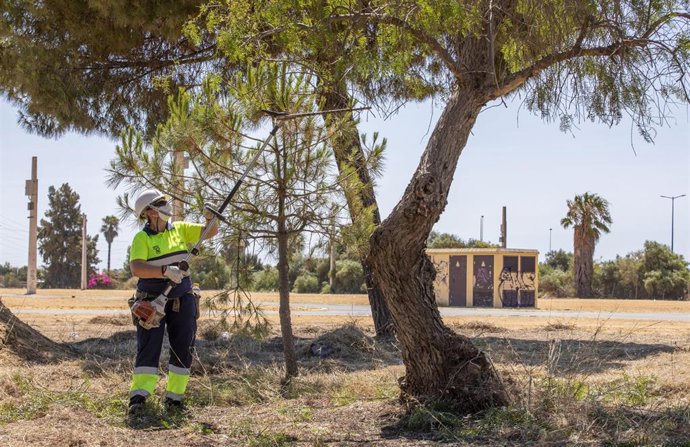 Actuaciones para la puesta a punto del recinto del evento 'Vive Park'.