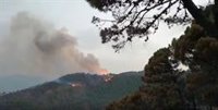Continúan los trabajos para apagar el incendio en Jubrique, donde el viento ha reavivado las llamas en la parte norte