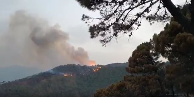 Imagen del incendio que continúa activo en el municipio malagueño de Jubrique