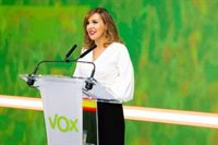 Vox acusa a la Junta de "abandonar al turismo" y critica los "toques de queda a hostelería y ocio nocturno"
