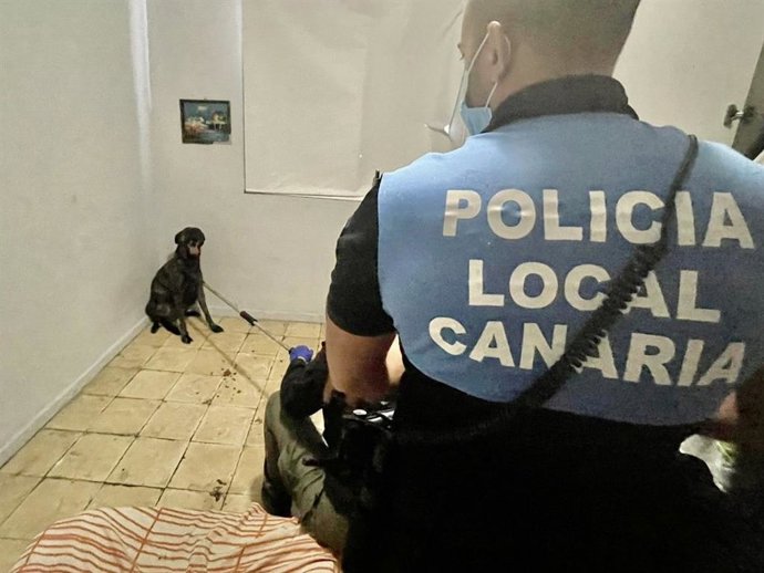 Un agente de la Policía Local de La Laguna sujeta al perro tras atacar a su dueño