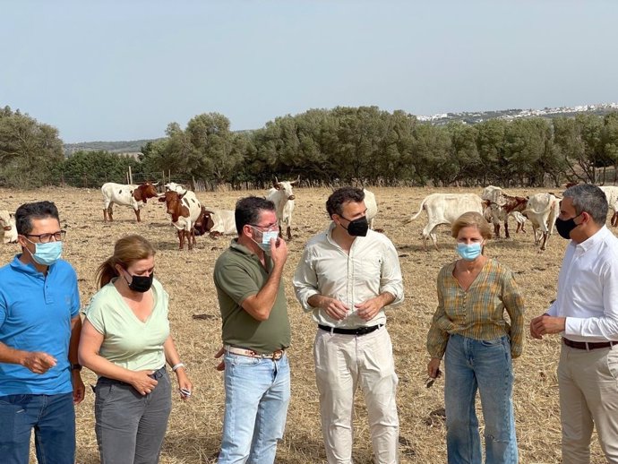 PP de Cádiz traslada su apoyo a los ganaderos de la provincia