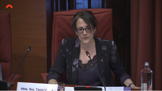 La consellera d'Igualtat i Feminismes de la Generalitat, Tnia Verge