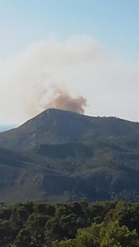 Declarado un incendio forestal en el Coll de sa Gramola