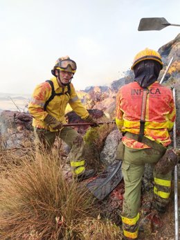 Unos efectivos del Plan Infoca en las labores de lucha contra el incendio declarado en el municipio de Cañete La Real (Málaga)