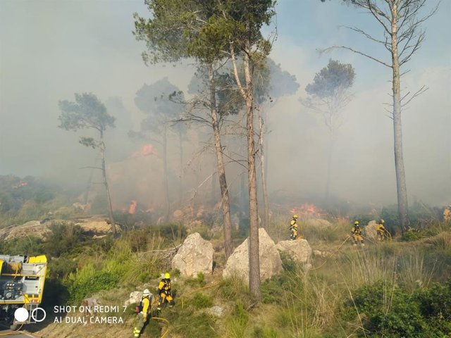 Efectivos trabajan en labores de extinción del fuego declarado en el Coll de sa Gramola (Andratx)