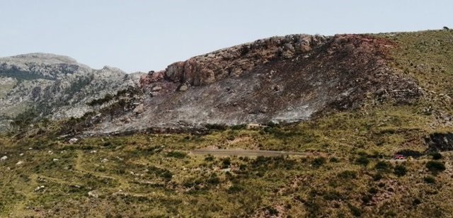 Incendio forestal en el Coll de sa Gramola.
