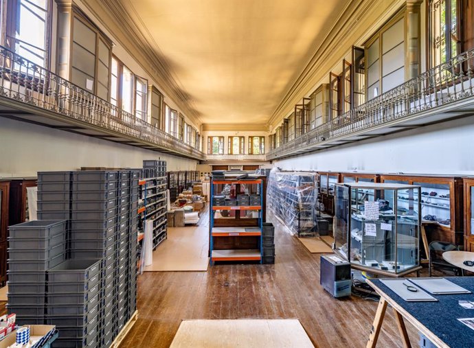 Imatge dels trasllats d'unes 600.000 peces del Museu Martorell per iniciar la remodelació de l'eficio