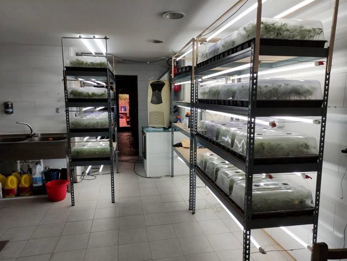 Imagen del material sustraído