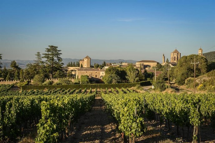 Archivo - Grans Muralles 2017 de Família Torres, recibe el título 'Best in Show' de los premios Decanter