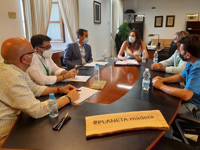 Reunión del PP-A con la Asociación de Clusters y Empresas de la Madera y el Mueble de Andalucía (Acema).