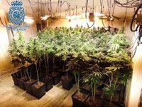 Nueve detenidos en Sevilla de un clan familiar que compraba al por mayor marihuana en las Tres Mil Viviendas