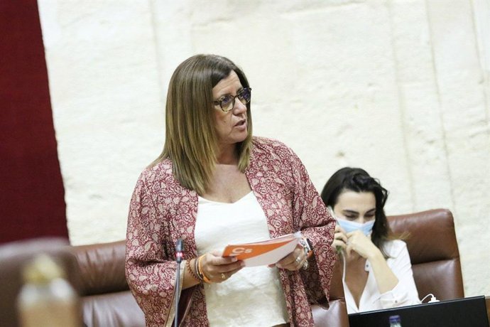 Archivo - Sevilla.-Hormigo defiende el presupuesto andaluz como "salvavidas" ante la crisis y lamenta las enmiendas a la totalidad