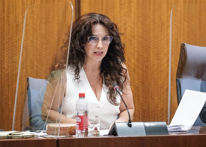 La consejera andaluza de Igualdad, Políticas Sociales y Conciliación, Rocío Ruiz, en comisión parlamentaria.