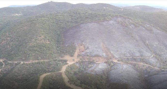 Zona afectada por el fuego en Villaviciosa.