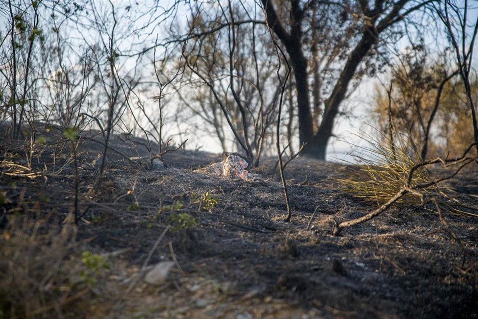 Un incendio en Castellví de Rosanes, Barcelona, (Cataluña), que se ha complicado por el viento, ha provocado el desalojo de varios núcleos de vecinos y cortes en la AP-7, a 13 de julio. 