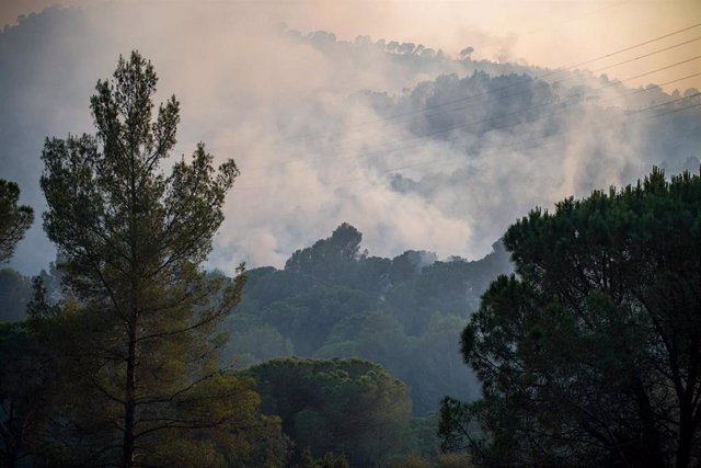 El incendio en Castellví de Rosanes (Barcelona) afecta a la Serra de l’Ataix, a 13 de julio. 