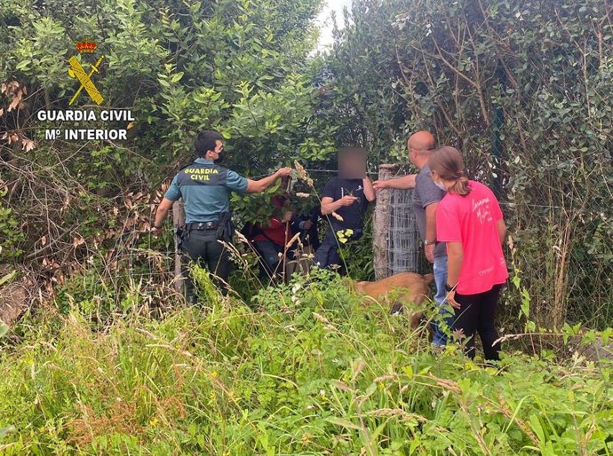 Intervención de la Guardia Civil para localizar a un hombre de 80 años desaparecido en Villaviciosa