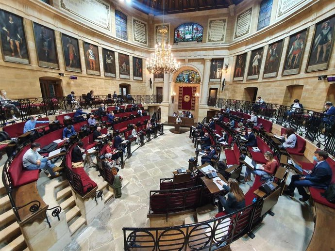 Pleno de las Juntas Generales de Bizkaia