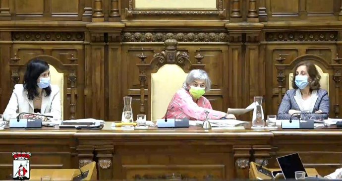 Pleno Municipal de Gijón