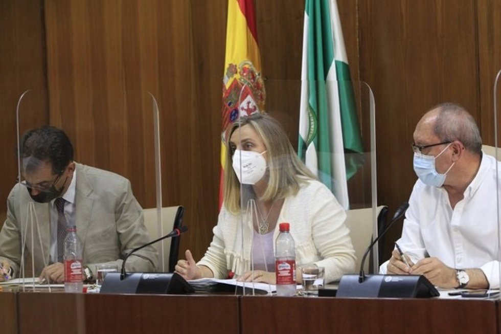 Carazo en la comisión de este miércoles.