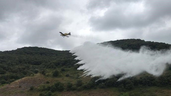 Simulacro del dispositivo de lucha contra incendios