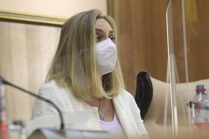 La consejera de Fomento, Infraestructuras y Ordenación del Territorio, Marifrán Carazo