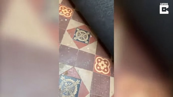 Pareja descubre una obra maestra de baldosas escondida debajo de una alfombra en su casa que data del año 1830